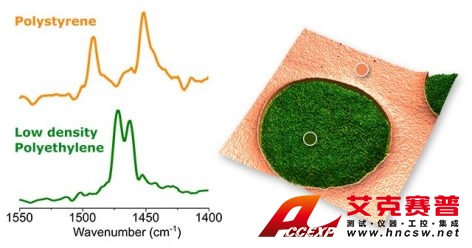 Resonance-Enhanced AFM-IR monolayer sensitivity