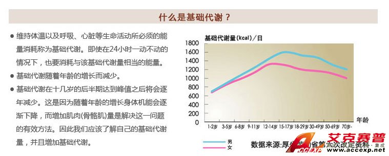 了解基礎(chǔ)代謝