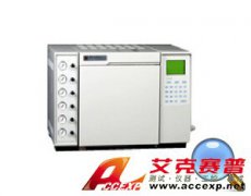 魯南瑞虹 SP-9890型 氣相色譜儀